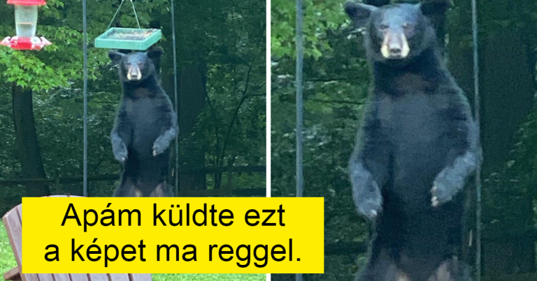 15+ ember, aki semmilyen bajtól nem riadnak vissza