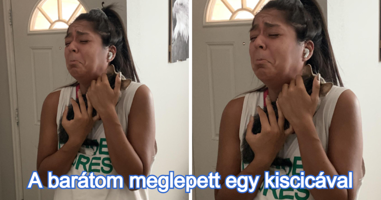 20 megható kép, ami számtalan szívet megérinthet