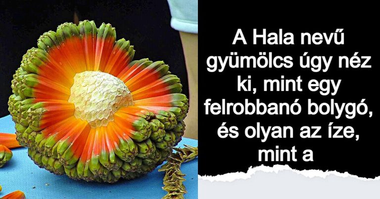 15 alkalom, amikor az emberek megtalálták a természet legsötétebb titkait