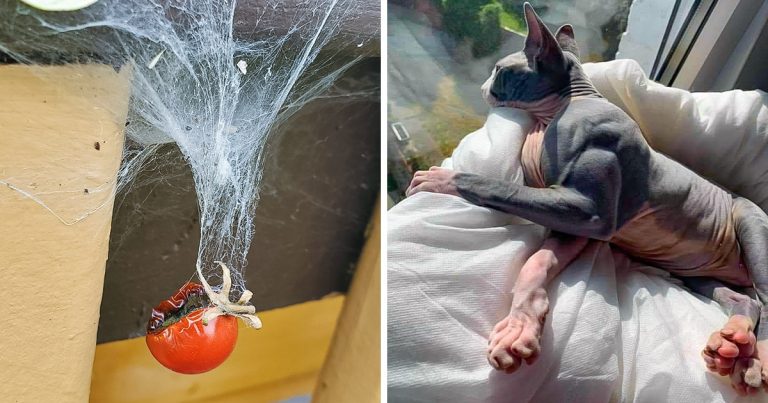 15+ alkalom, mikor a természet egyedisége megdöbbentett bennünket