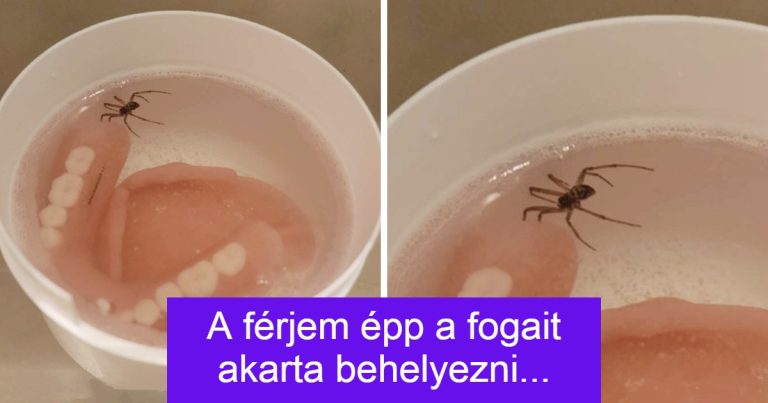 15 ember, akinek most azonnal szüksége lenne egy ölelésre