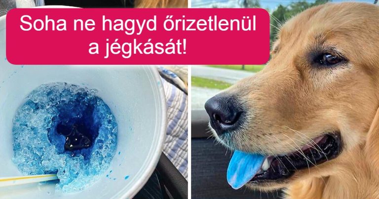 15+ pillanat, amikor az univerzum úgy döntött, hogy megtréfál minket