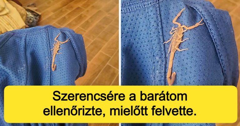 18 ember, aki vicces tréfát kapott az univerzumtól