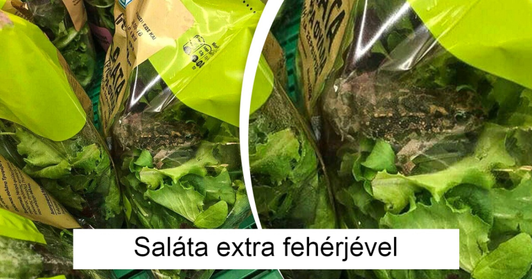 18 fotó, ami bizonyítja, hogy az élet egy non-stop meglepetés party