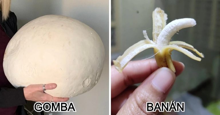 20 őrült méretű dolog, amit Alice Csodaországban láthatott