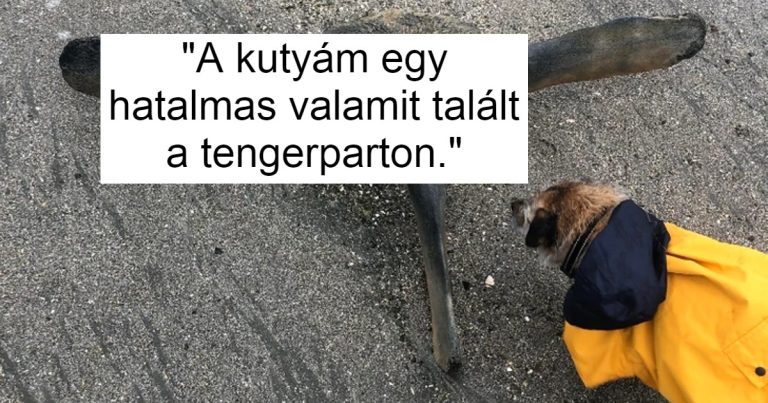 21 váratlan tengerparti lelet – felfedezőik nem tudták megállni, hogy ne osszák meg a világgal