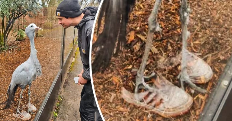 21 véletlen egybeesés, ami bizonyítja, hogy a Mátrixban lévő hibák valósak