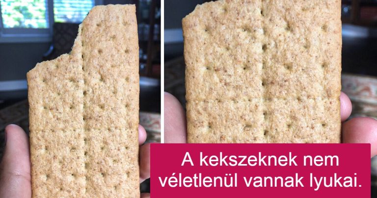 9 megdöbbentő tény, ami miatt másképp fogsz tekinteni a hétköznapi dolgokra