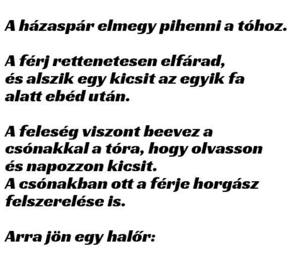 VICC: A házaspár elmegy pihenni a tóhoz