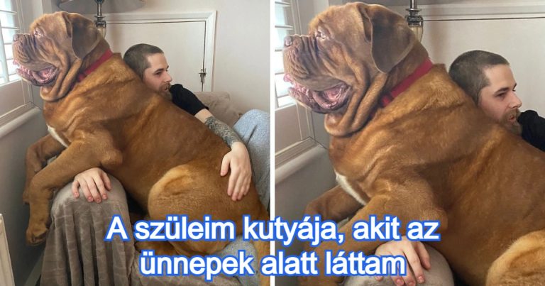 15 alkalom, mikor az emberek tökéletes mércévé váltak a dolgok mérésére
