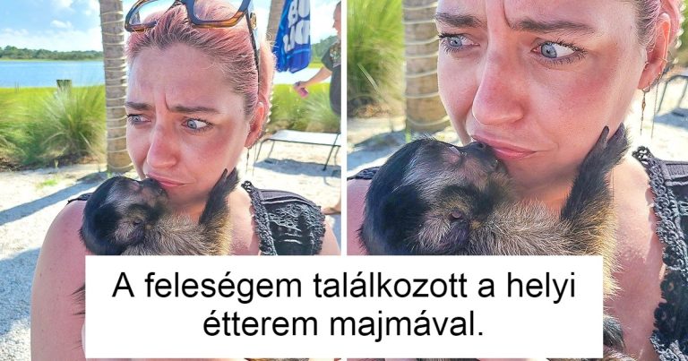 15 fotó, ami könnyen meggyógyíthatja bárki rossz hangulatát