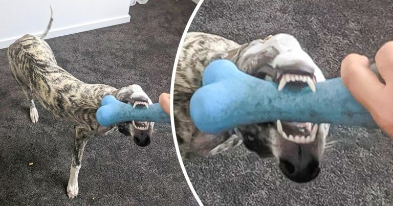 16 ember, akik hirtelen egy horrorfilmben találták magukat