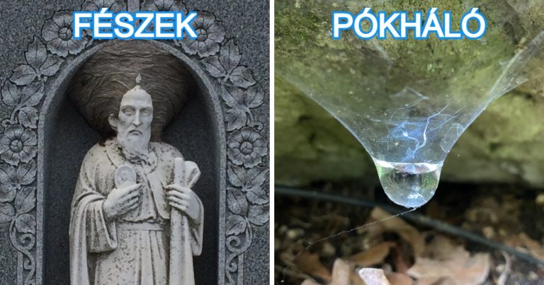 17 alkalom, mikor a természet emlékezetes pillanattal dobta fel mindennapjainkat