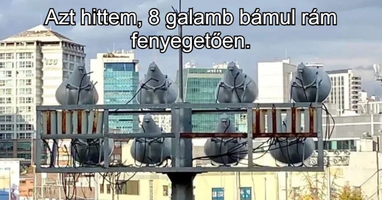 20 kép, amit kétszer kell megnézned, hogy megértsd, miről van szó