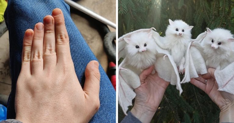 21 látnivaló, amire ma egyáltalán nem számítottunk