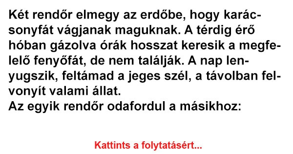 Két rendőr elmegy az erdőbe, hogy karácsonyfát vágjanak maguknak