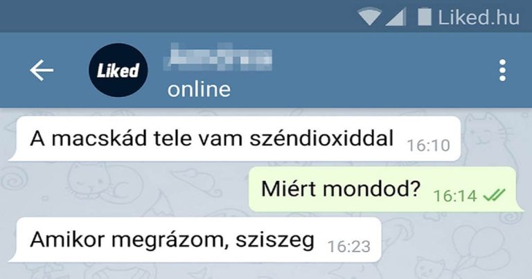 12 személy, aki mindig mindenre tudja a helyes választ