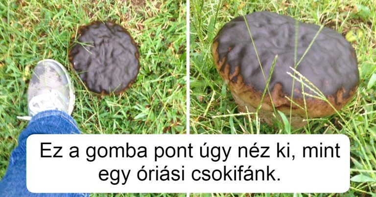 15 alkalom, amikor az emberek nem tudták megfejteni, mi folyik itt
