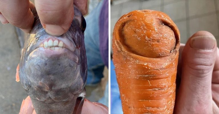 15+ fotó, ami megmutatja, hogy a természet mennyire kreatív
