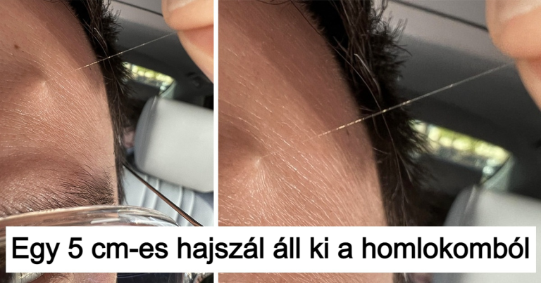 15 kép bizonyítja, hogy még nem láttuk a világ összes furcsaságát