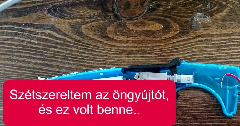 16 fotó, ami megmutatja, mi rejtőzik a hétköznapi tárgyak belsejében