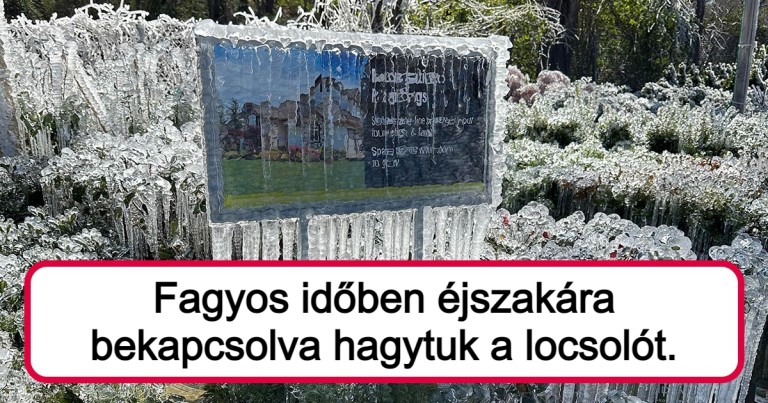 19 fotó, ami világosan megmutatja, milyen lenyűgöző lehet a valóság