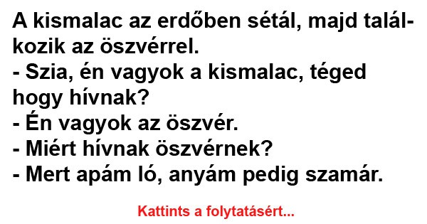 A kismalac az erdőben sétál, majd találkozik az öszvérrel