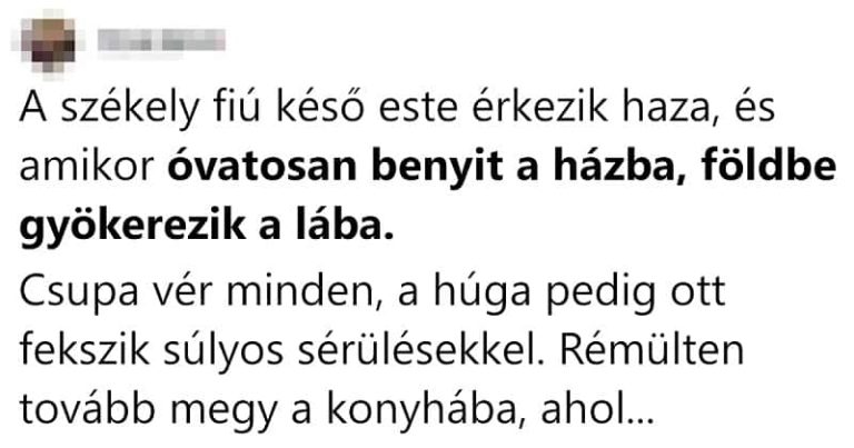 A székely fiú késő este érkezik haza