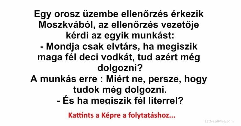 Egy orosz üzembe ellenőrzés érkezik Moszkvából