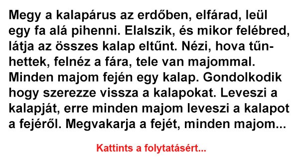 Megy a kalapárus az erdőben, elfárad, leül egy fa alá pihenni