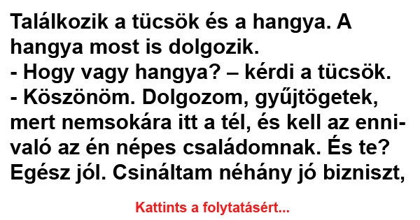 Találkozik a tücsök és a hangya