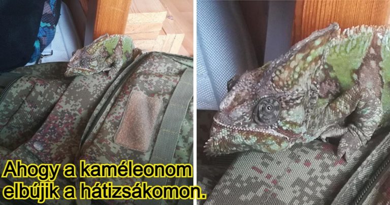 15 alkalom, mikor az Univerzum váratlan kincsekkel ajándékozta meg az embereket