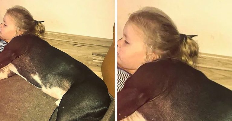 15 ember, aki pontosan tudta, mikor kell kattintania