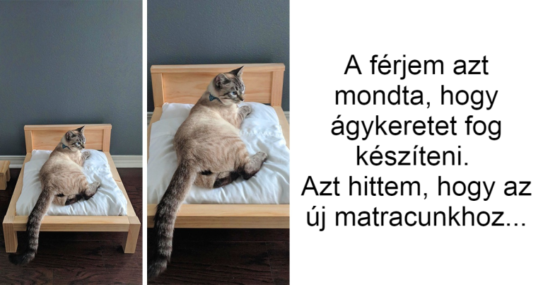 17 ember, akik szuperképessége, hogy megnevettetnek másokat