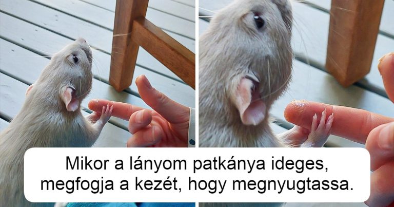 17 helyzet, ami bizonyítja, hogy a szeretet ad értelmet az életünknek