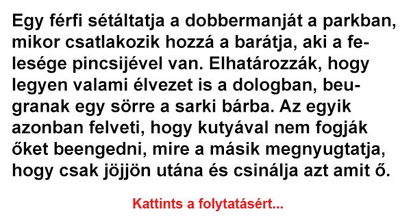 Egy férfi sétáltatja a dobbermanját a parkban, mikor csatlakozik hozzá a barátja