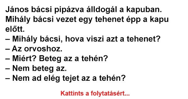János bácsi pipázva álldogál a kapuban. Mihály bácsi vezet egy tehenet épp a kapu előtt.
