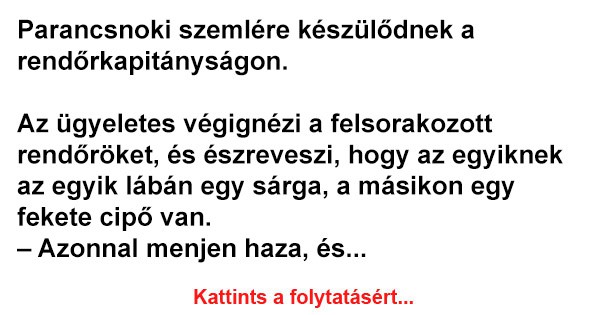 Parancsnoki szemlére készülődnek a rendőrkapitányságon.