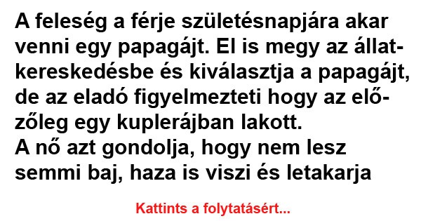 A feleség a férje születésnapjára