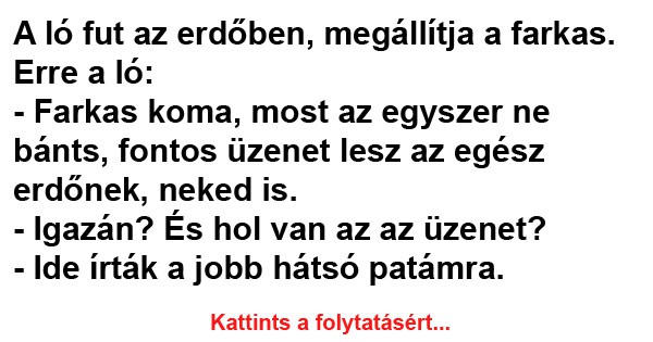 A ló fut az erdőben, megállítja a farkas