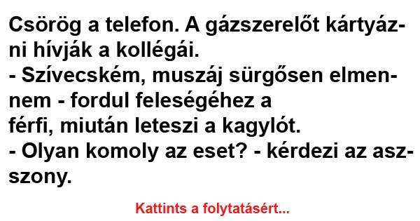 Csörög a telefon. A gázszerelőt kártyázni hívják a kollégái.