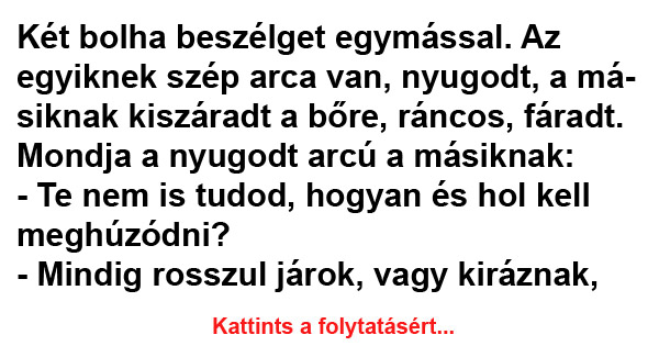 Két bolha beszélget egymással