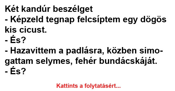 Két kandúr beszélget