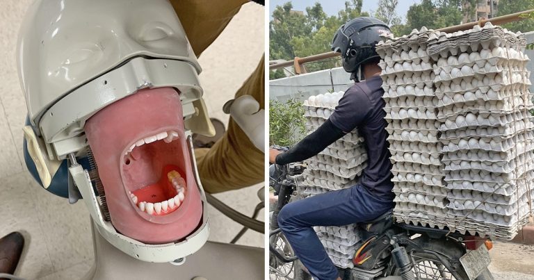 15 alkalom, mikor a világ úgy döntött, hogy megosztja furcsa pillanatait, mikor a legkevésbé számítottunk arra