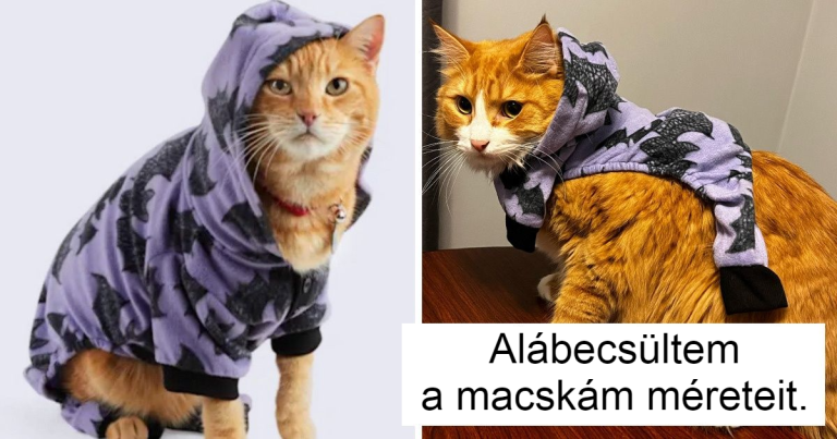 15 alkalom, mikor az univerzum egy nagy adag csalódással alázatra kényszerítette az embereket