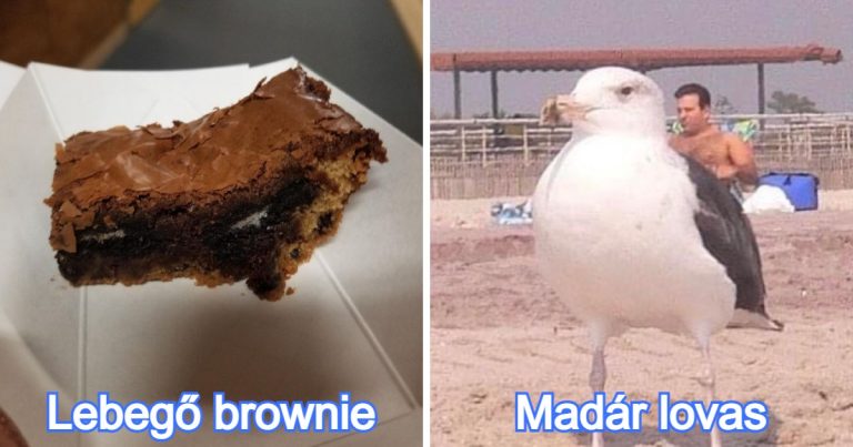 15 kép, ami zavarba ejtőbb, mint az „Eredet”