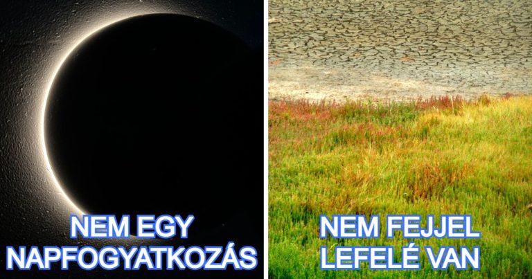 15+ zavaros fotó, ami miatt fel kell tenned a gondolkodó sapkádat