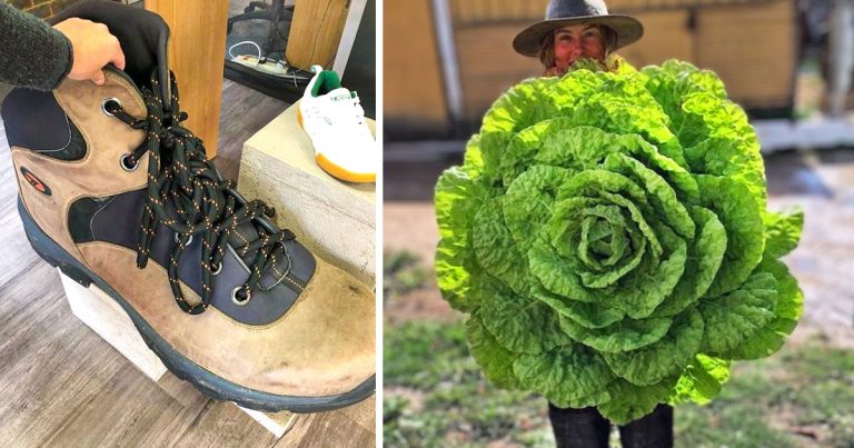 16 hatalmas dolog és állat, amivel kapcsolatban bizonyítékra volt szükségünk, hogy elhiggyük, hogy valóban léteznek