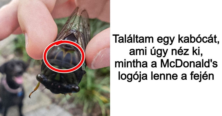 17 ember, aki igazán elképesztő véletlenekre bukkant