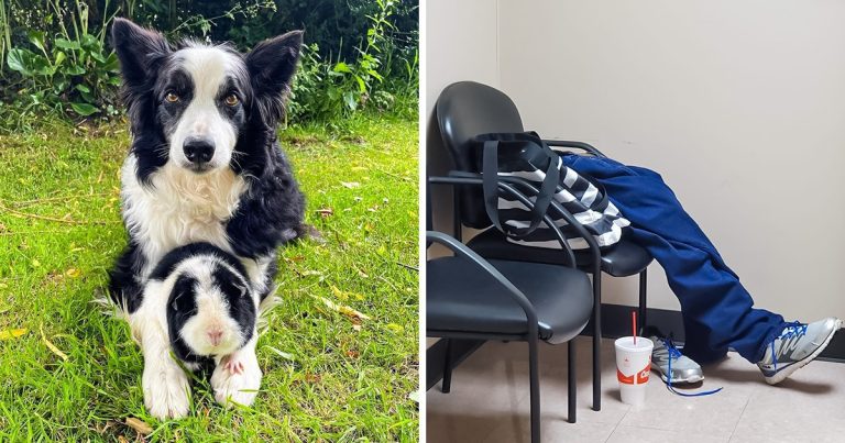 18 furcsa kép, ami arra késztet, hogy megértsd, mi folyik itt